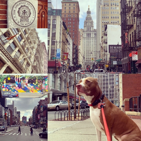 Meet your Posher, Gabriela - Picture 7 of 16